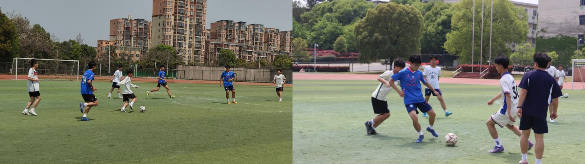 imageMerge2025-04-18 14:27:46 .png