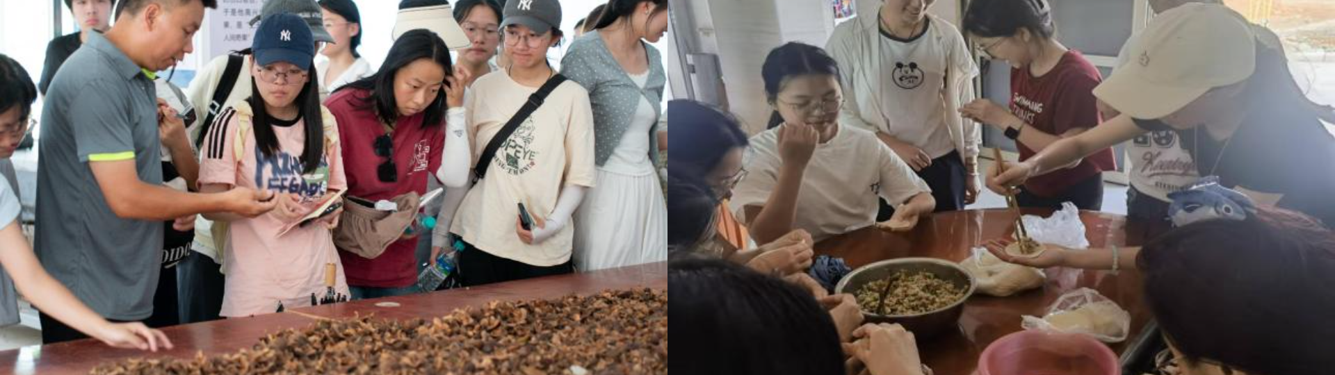 imageMerge2025-07-21 09:17:17 .png