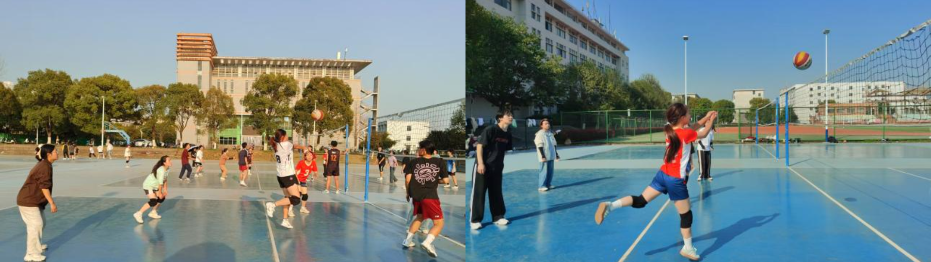 imageMerge2025-04-18 14:28:41 .png